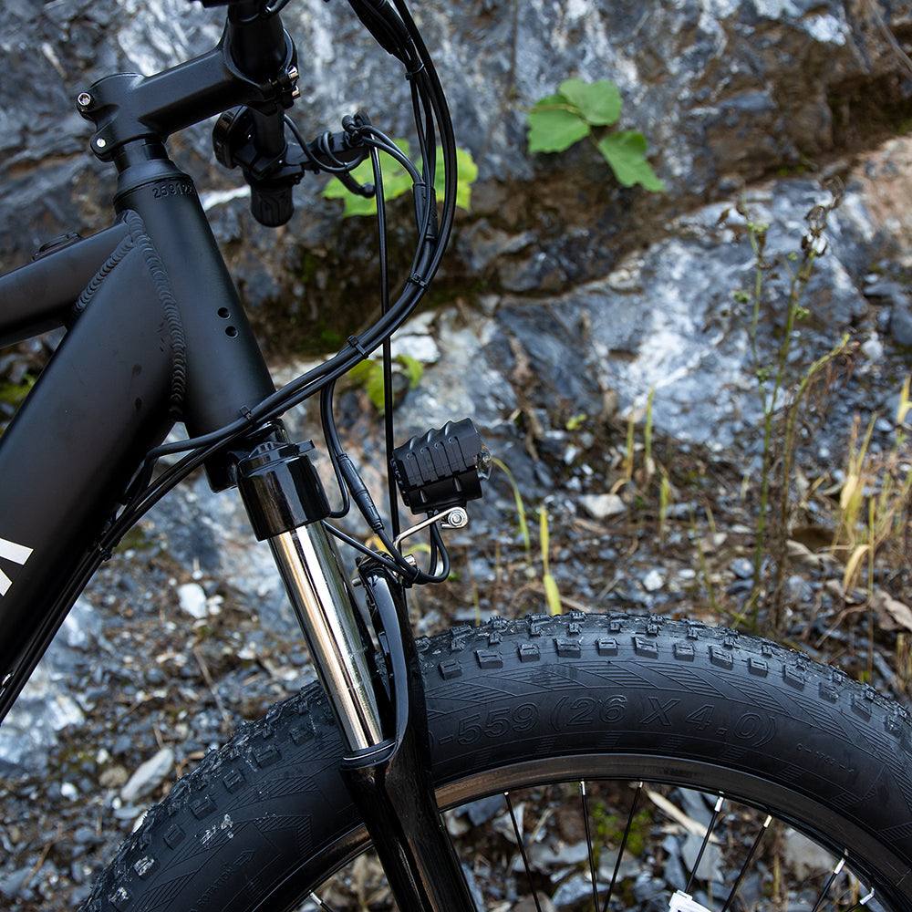 Unleash Adventure with the Professional 1000W Electric Mountain Bike - 26" Fat Tire Ebike for Trail Riding, Commuting, and Excursions