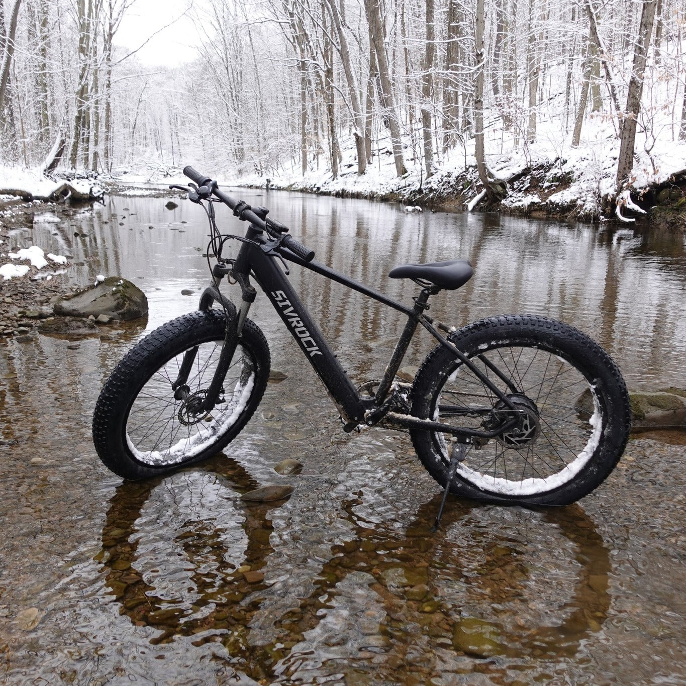Unleash Adventure with the Professional 1000W Electric Mountain Bike - 26" Fat Tire Ebike for Trail Riding, Commuting, and Excursions